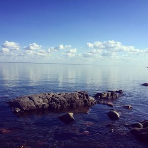 Meet your Posher, Tegan